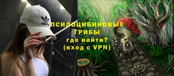 дживик Арсеньев