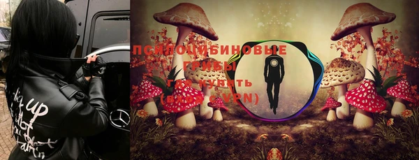 дживик Арсеньев