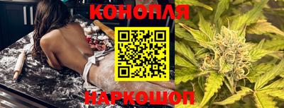 Альфа ПВП Дубна