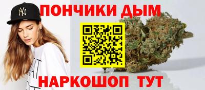 Альфа ПВП Дубна