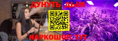 Альфа ПВП Дубна